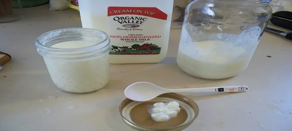 Yogurt from Pasteurized Milk
