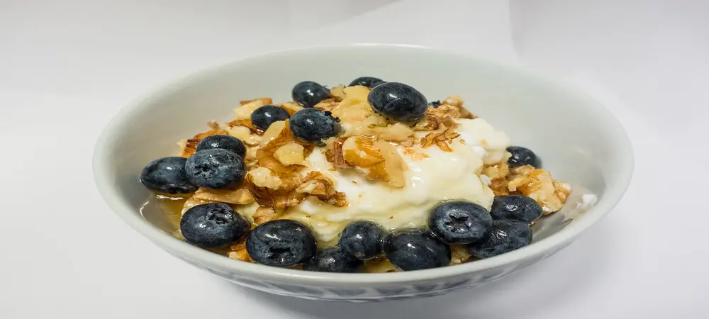 Greek Yogurt