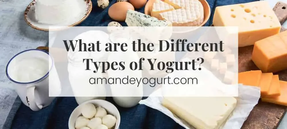 different types of yogurt