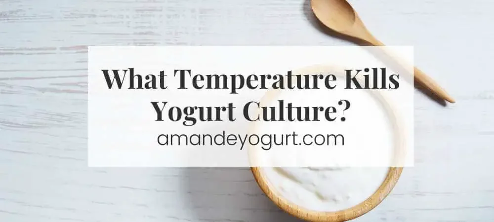 what temperature kills yogurt culture