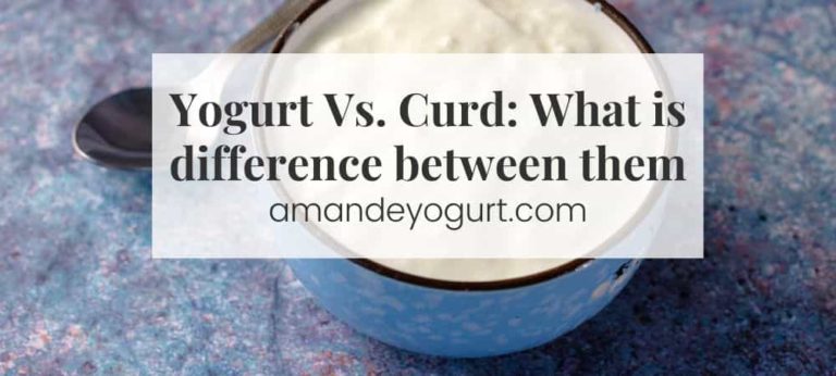 Yogurt Vs. Curd [2023] - What Is The Difference Between Them?