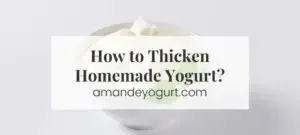 how to thicken homemade yogurt