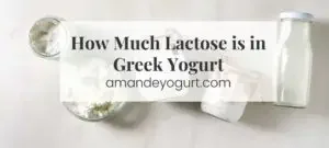 How Much Lactose is in Greek Yogurt