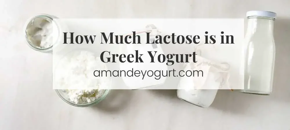 How Much Lactose is in Greek Yogurt