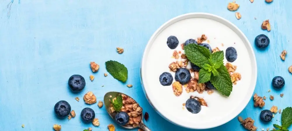 greek yogurt nutrition
