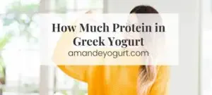 how much protein in greek yogurt