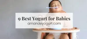 best yogurt for babies