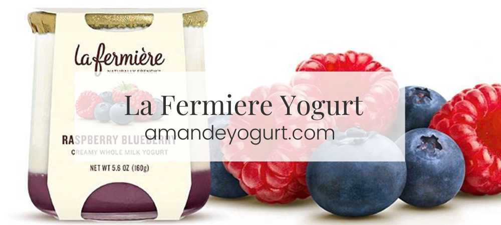 La Fermiere Yogurt (2023): A Comprehensive Guide