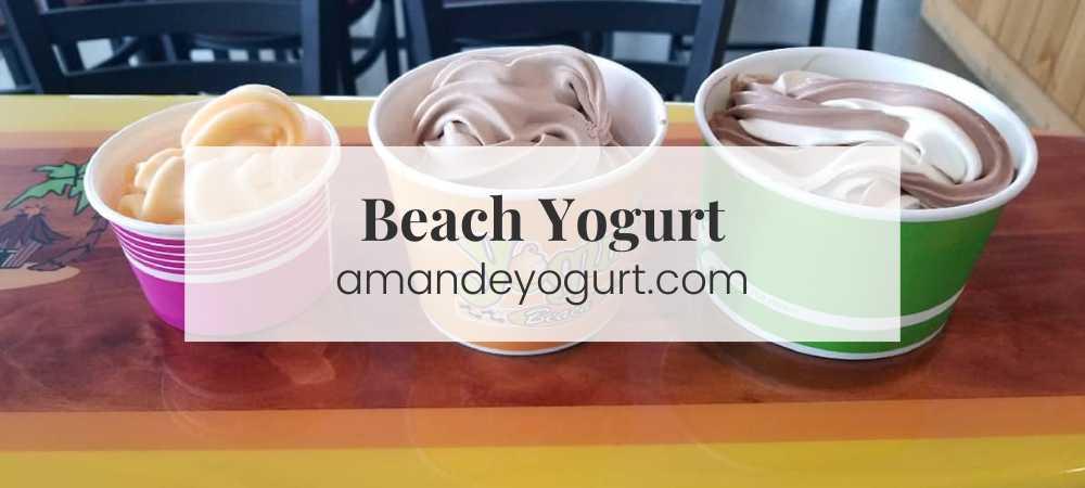 Beach Yogurt (2023): A Comprehensive Guide