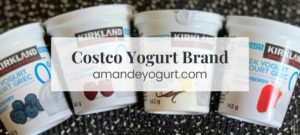 Costco Yogurt Brand (2023): A Comprehensive Guide