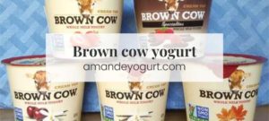 Brown Cow Yogurt (2023):A Comprehensive Guide