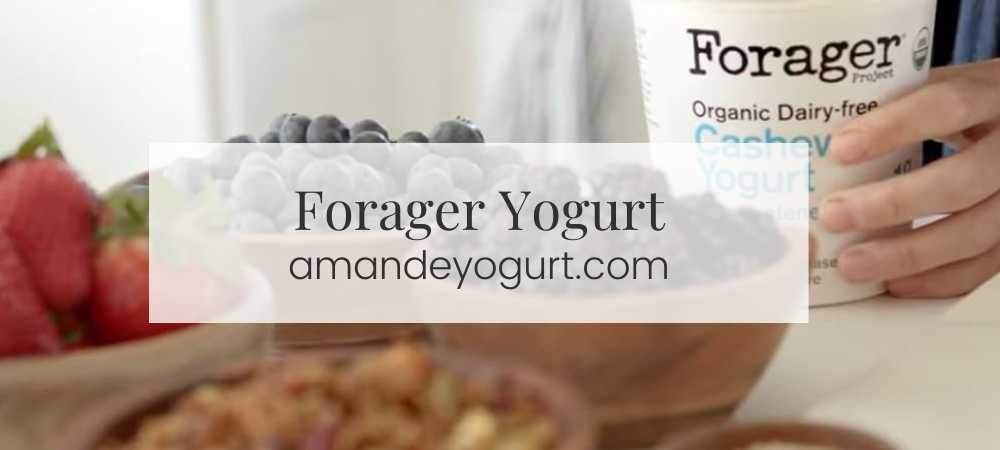 Forager Yogurt (2023):A Comprehensive Guide