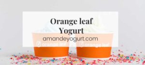 Orange Leaf Frozen Yogurt (2023): A Comprehensive Guide