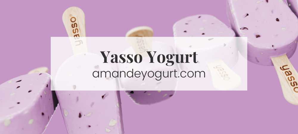 The Yasso Greek Yogurt Bars (2023): A Comprehensive Guide