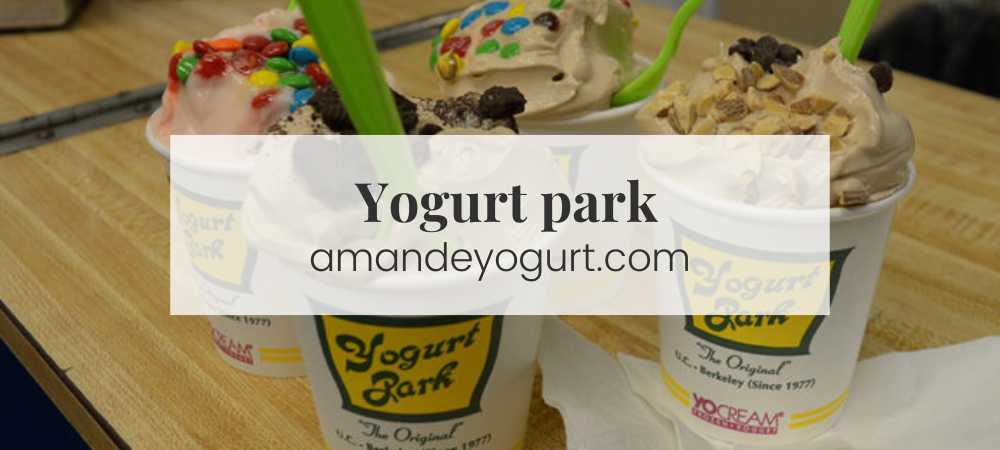 Yogurt Park (2023):A Comprehensive Guide